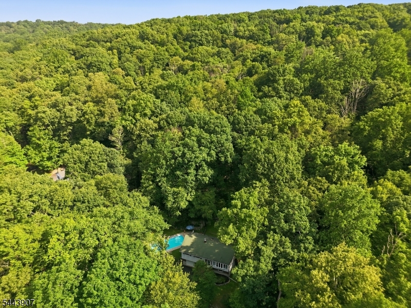 78 River Road Flanders, NJ 07836 - Photo 44 of 50 Gallery Image 44