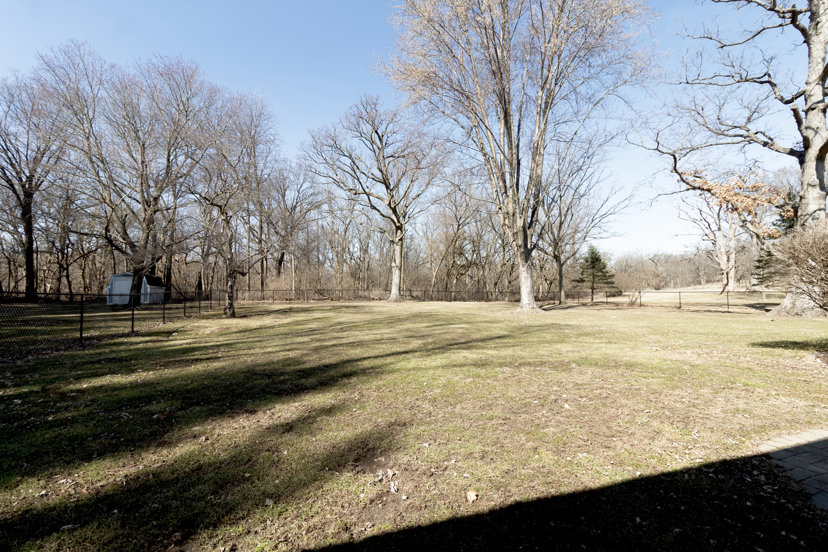 1455 North Gorham Road Morris, IL 60450 - Photo 21 of 22 a view of road with large trees