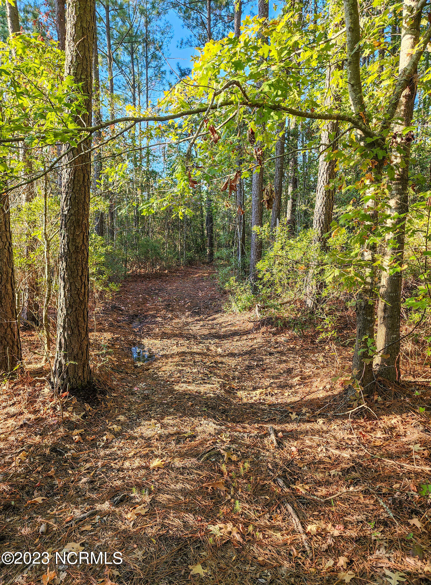 Lot 96 Mcgowan Road Bath, NC 27808 - Photo 15 of 32 20231013_173207