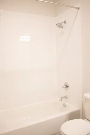 a bathroom with a toilet and a bathtub