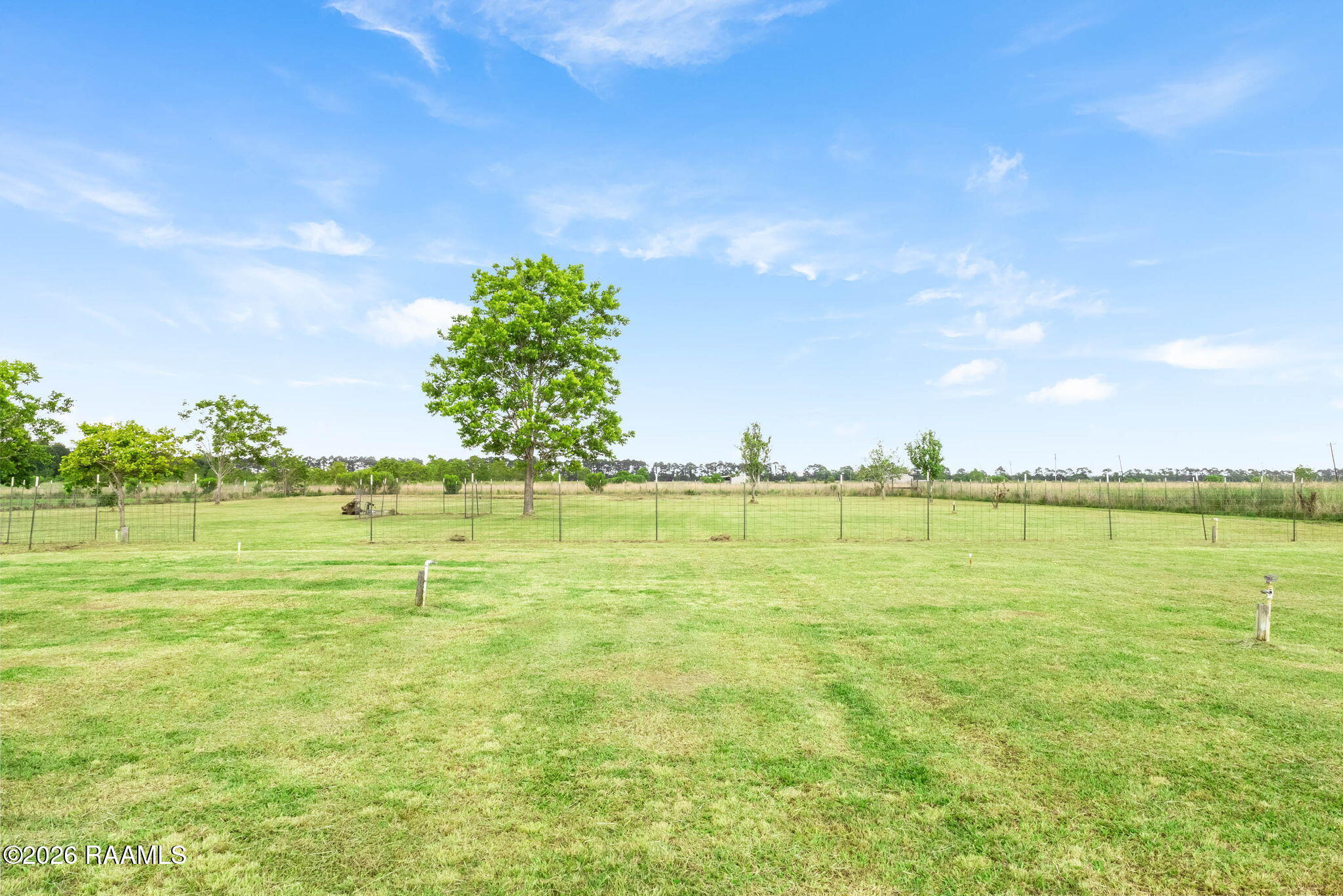 151 Tulane Road Rayne, LA 70578 - Photo 19 of 26 backyard