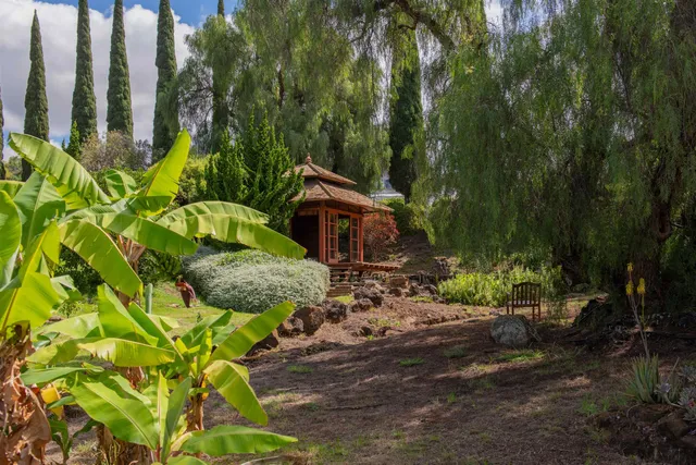 a backyard of a house with lots of green space