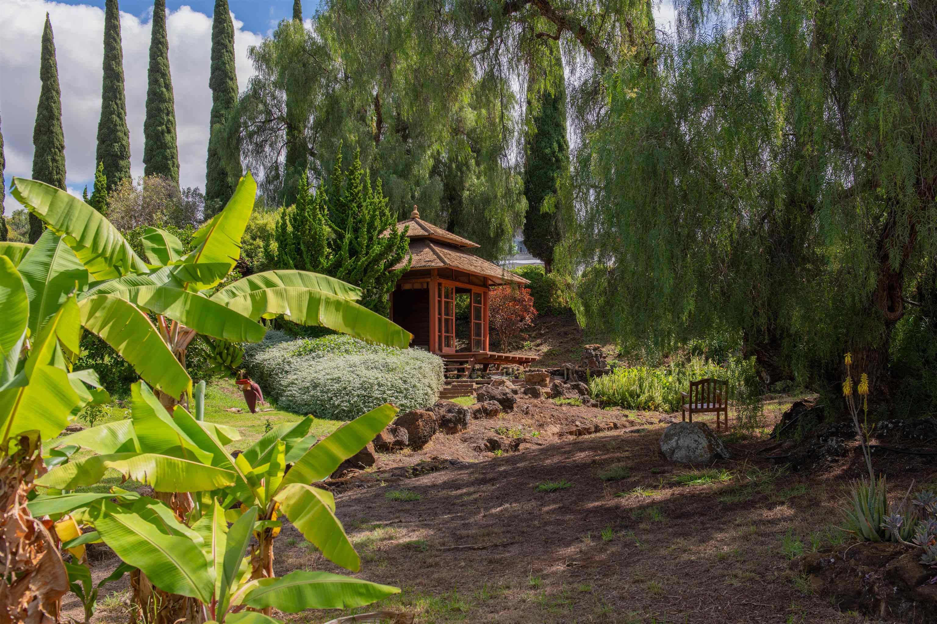 358 Holopuni Road Kula, HI 96790 - Photo 3 of 49 a backyard of a house with lots of green space