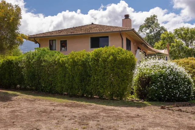 a view of a house with a big yard and potted plants