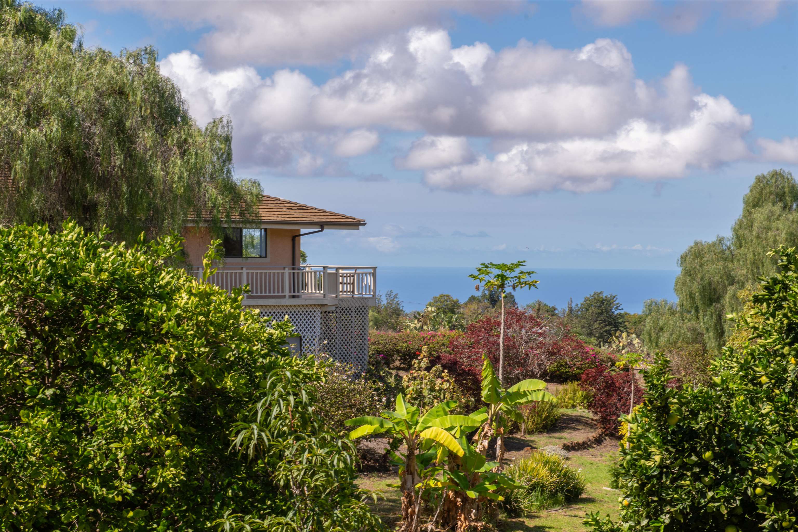 358 Holopuni Road Kula, HI 96790 - Photo 4 of 49 a view of a city with flower plants
