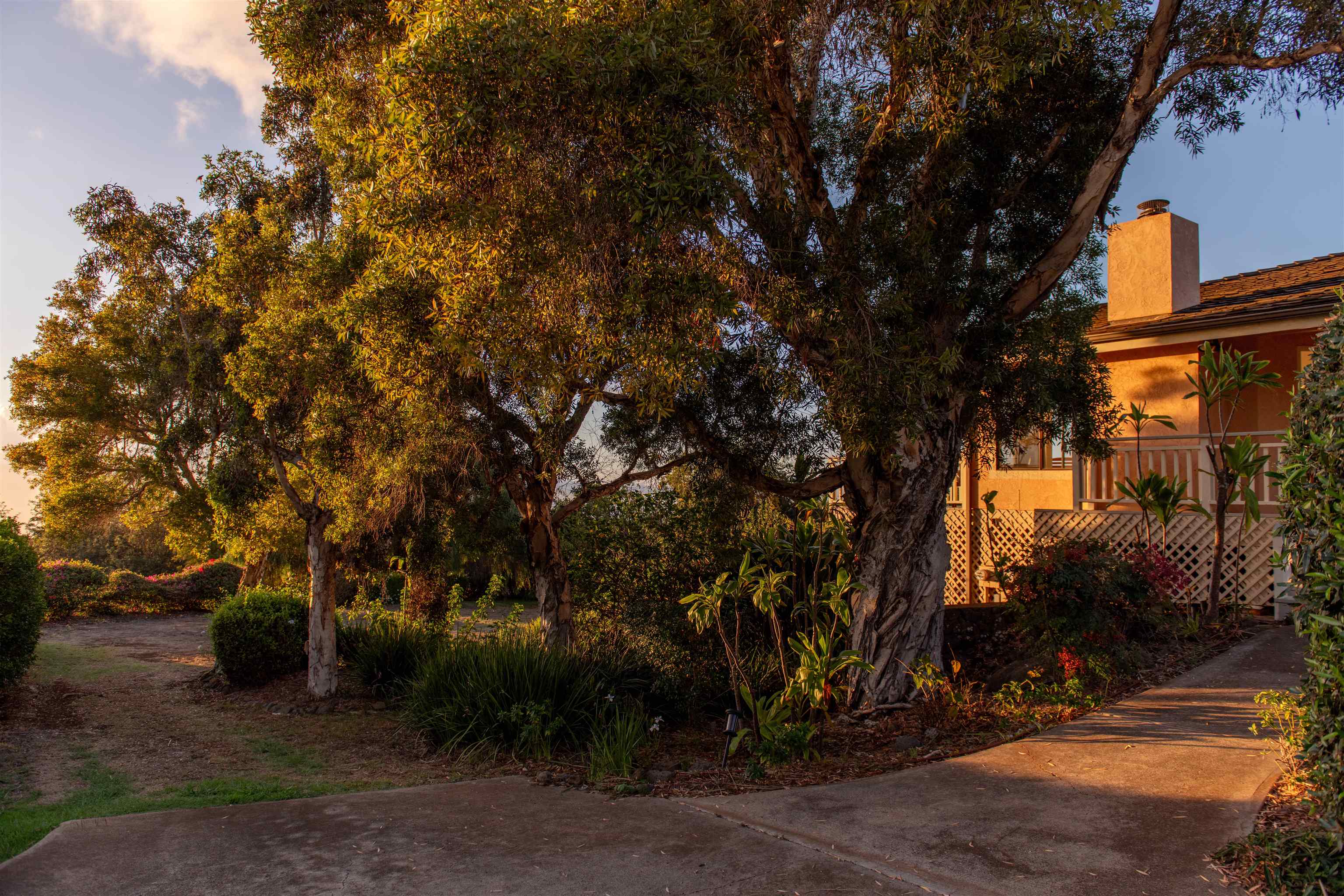358 Holopuni Road Kula, HI 96790 - Photo 45 of 49 a view of outdoor space and yard