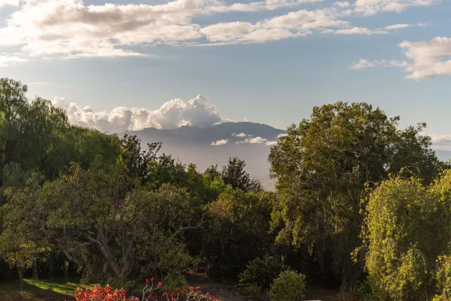 a view of city and mountain