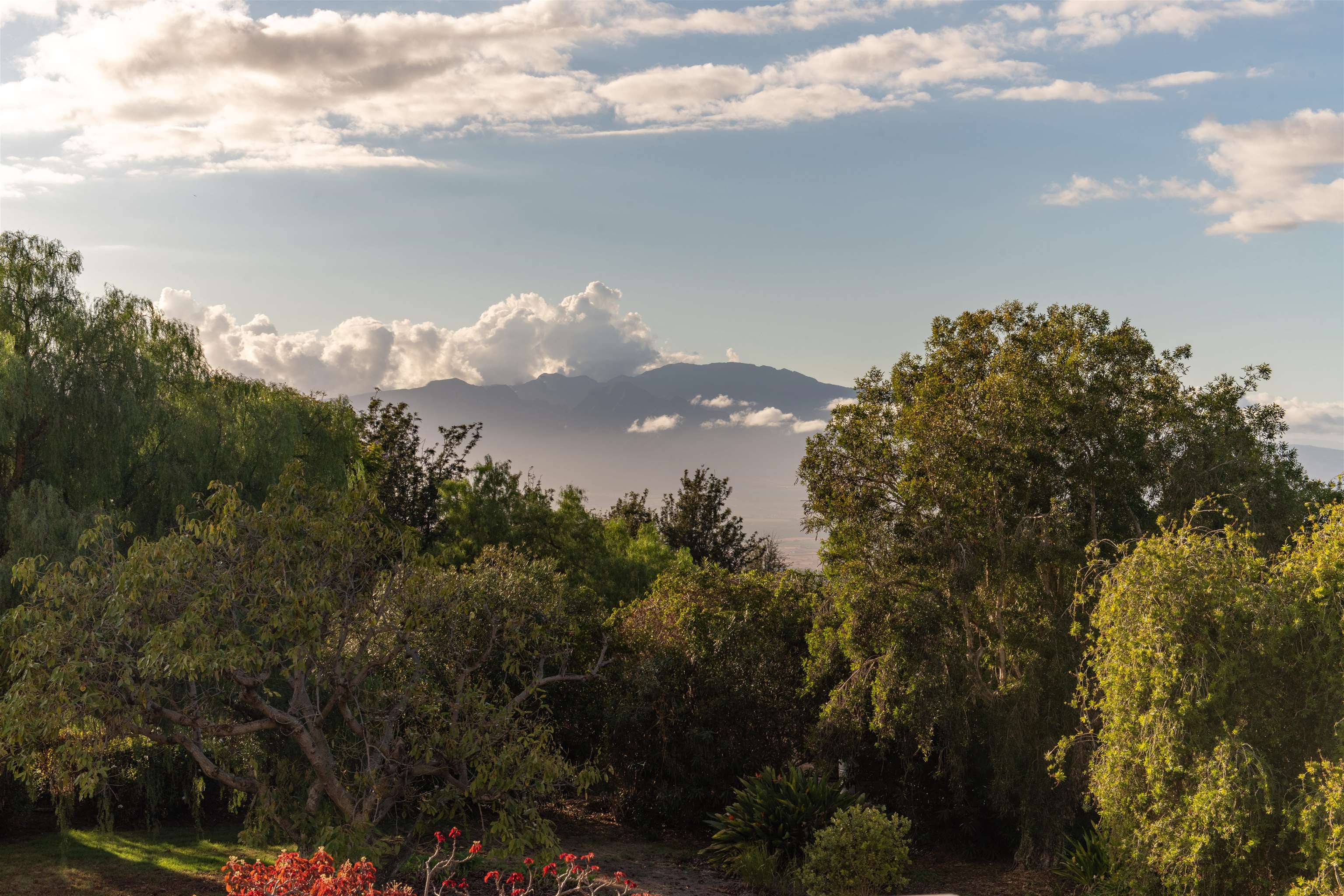 358 Holopuni Road Kula, HI 96790 - Photo 46 of 49 a sunset view