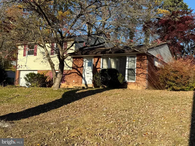 a view of road and trees