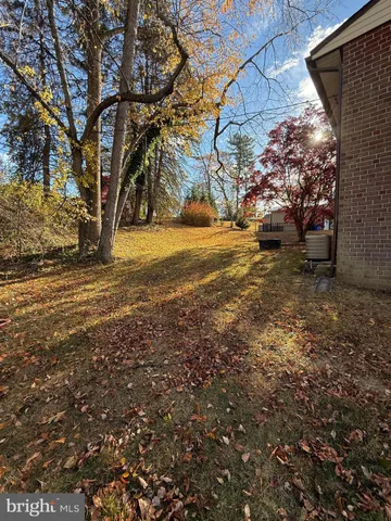 a view of yard with tree