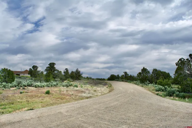 $90,000 | Lot 6 Road 24.3, Cortez, CO 81321