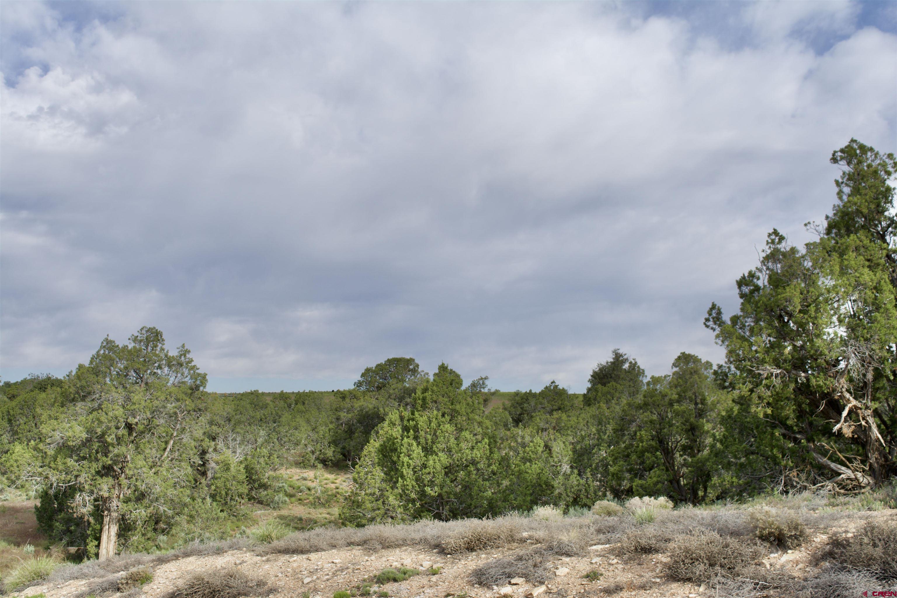 Lot 6 Road 24.3 Cortez, CO 81321 - Photo 5 of 16 a view of a lake