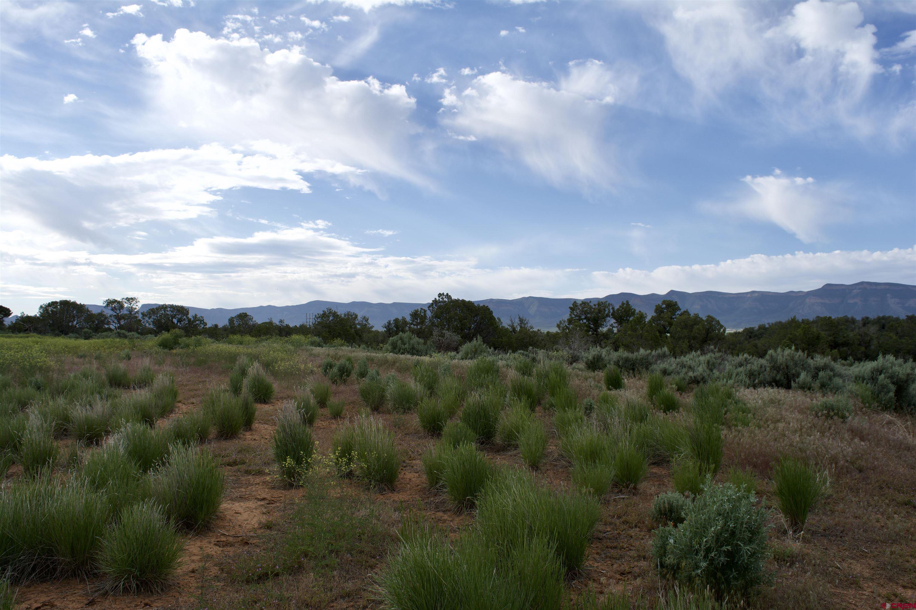 Lot 6 Road 24.3 Cortez, CO 81321 - Photo 7 of 16 a view of a city and mountains