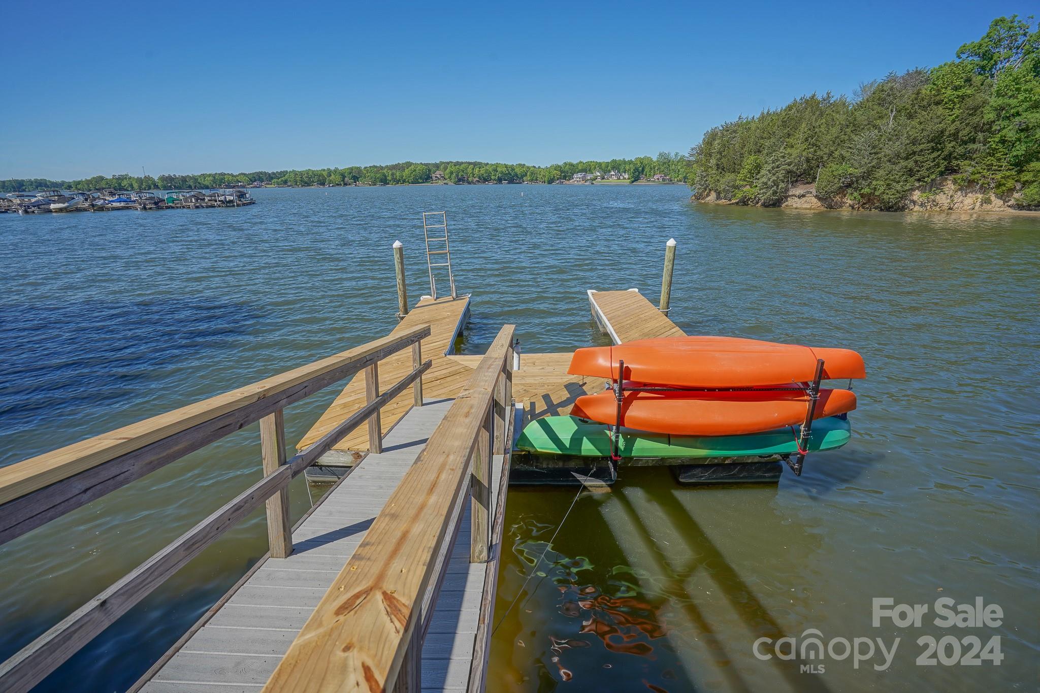14043 Point Lookout Road Charlotte, NC 28278 - Photo 6 of 48 Gallery Image 6