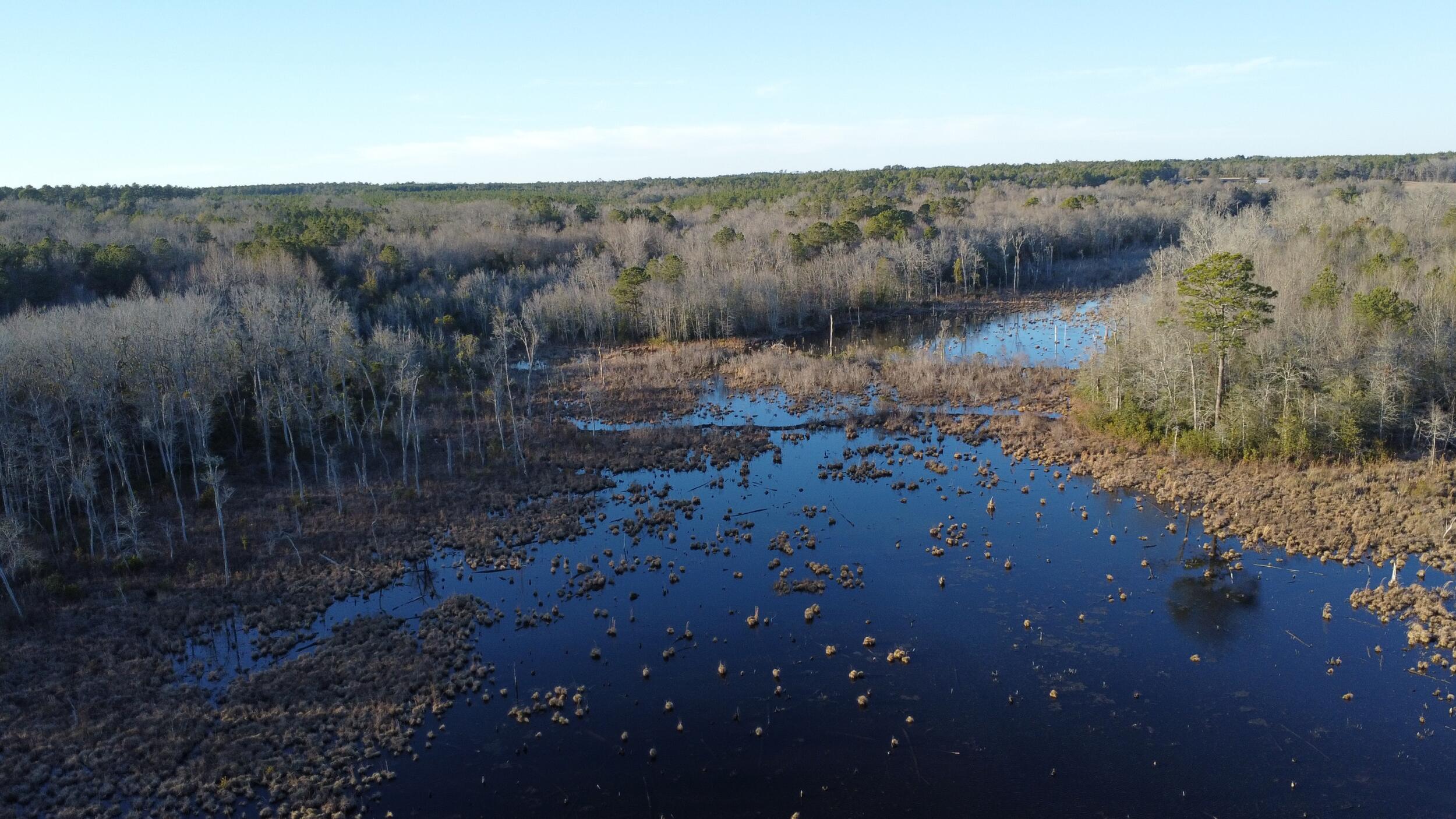 0 Millers Pond Road Salley, SC 29137 - Photo 10 of 28