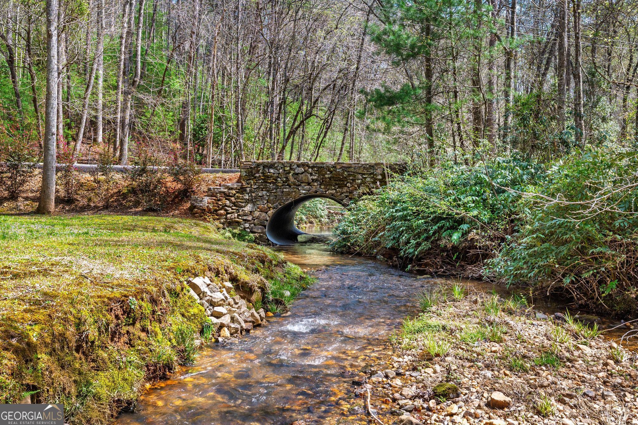 310 Blue Ridge Drive Sautee Nacoochee, GA 30571 - Photo 47 of 78