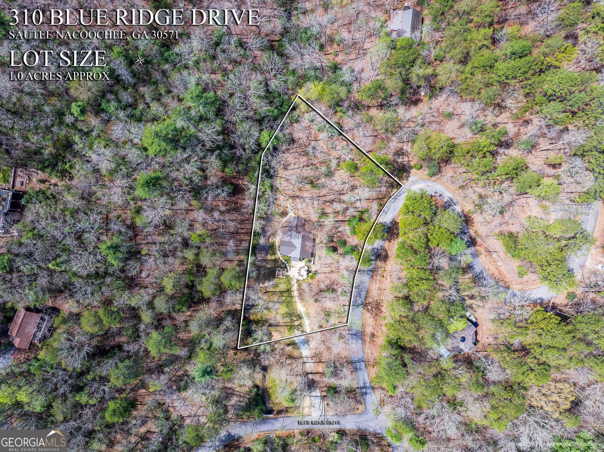 310 Blue Ridge Drive Sautee Nacoochee, GA 30571 - Photo 48 of 78