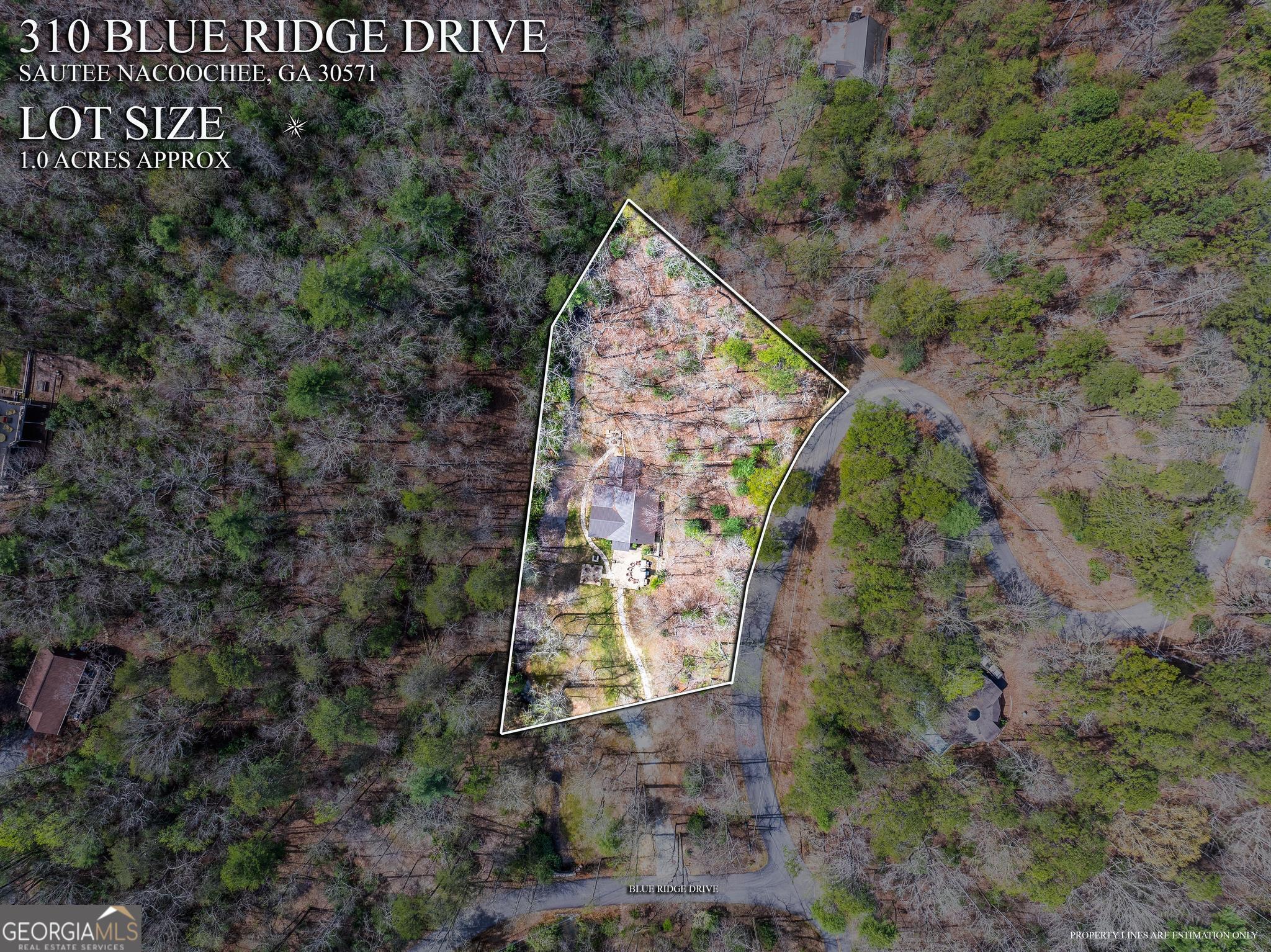 310 Blue Ridge Drive Sautee Nacoochee, GA 30571 - Photo 50 of 78