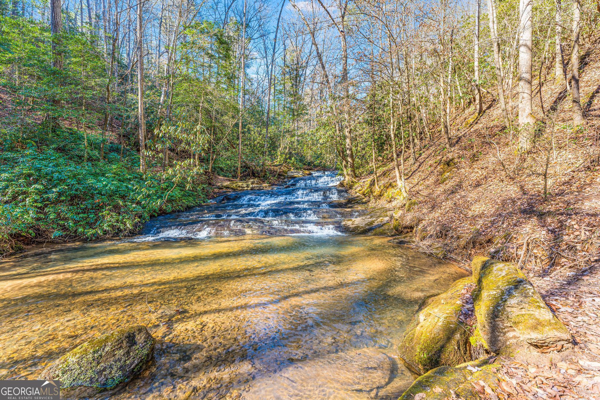 310 Blue Ridge Drive Sautee Nacoochee, GA 30571 - Photo 62 of 78