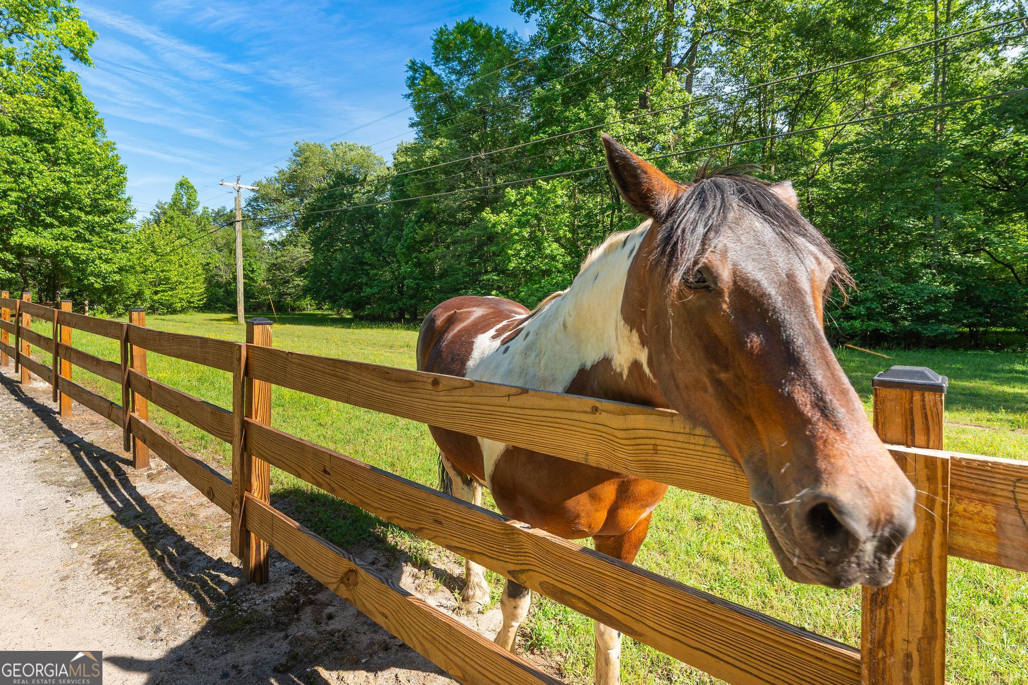 310 Blue Ridge Drive Sautee Nacoochee, GA 30571 - Photo 76 of 78