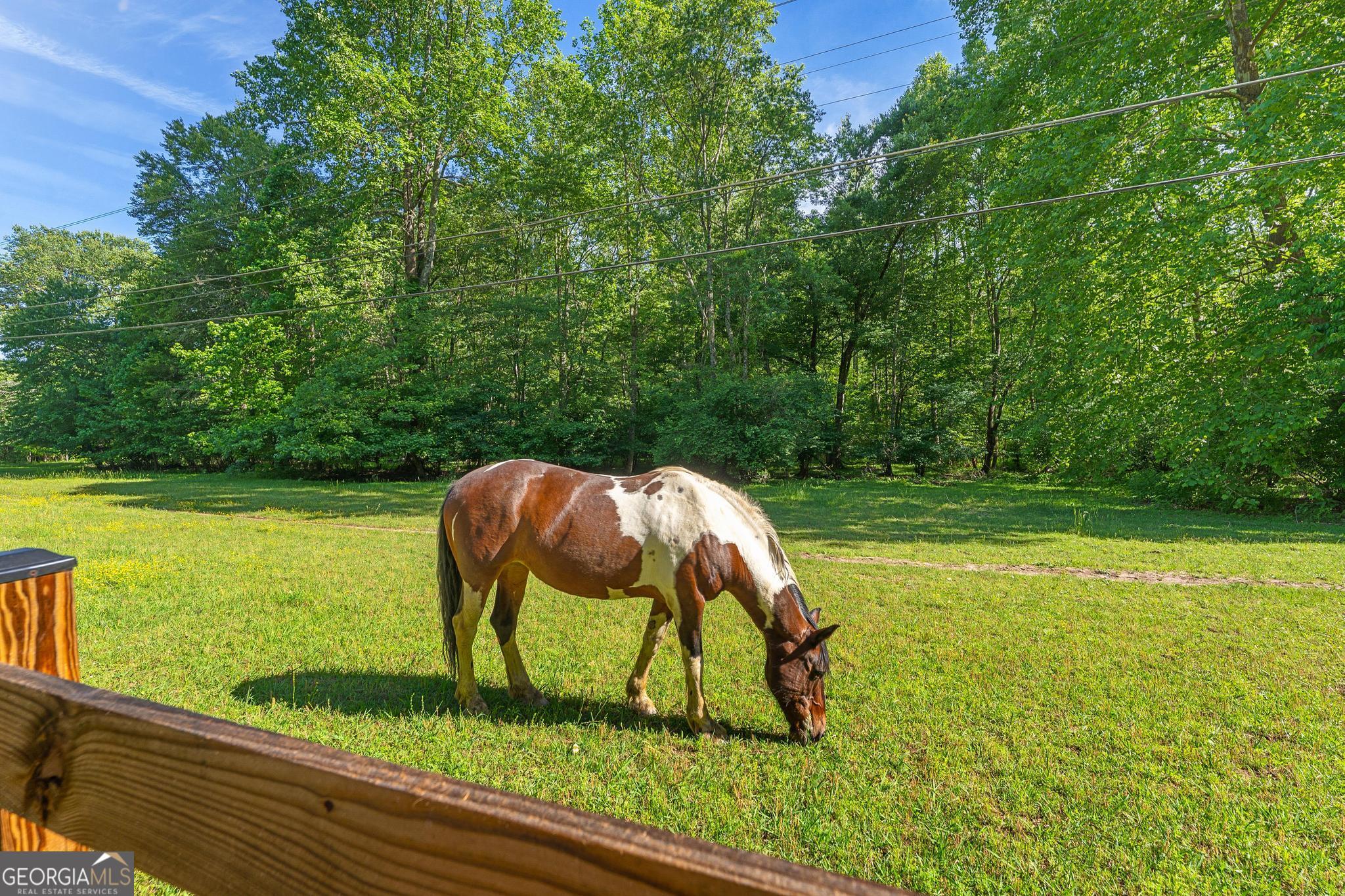 310 Blue Ridge Drive Sautee Nacoochee, GA 30571 - Photo 77 of 78