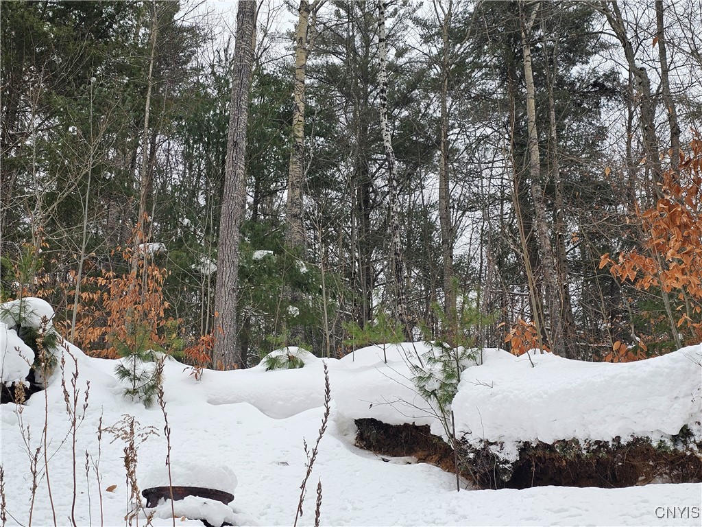 6558 Mc Philmy Road Watson, NY 13367 - Photo 16 of 42