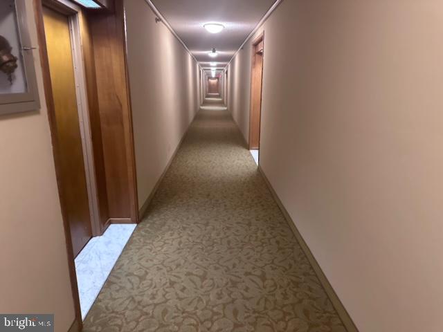 5501 Seminary Road, Unit 1715S Falls Church, VA 22041 - Photo 19 of 31 Gallery Image 19