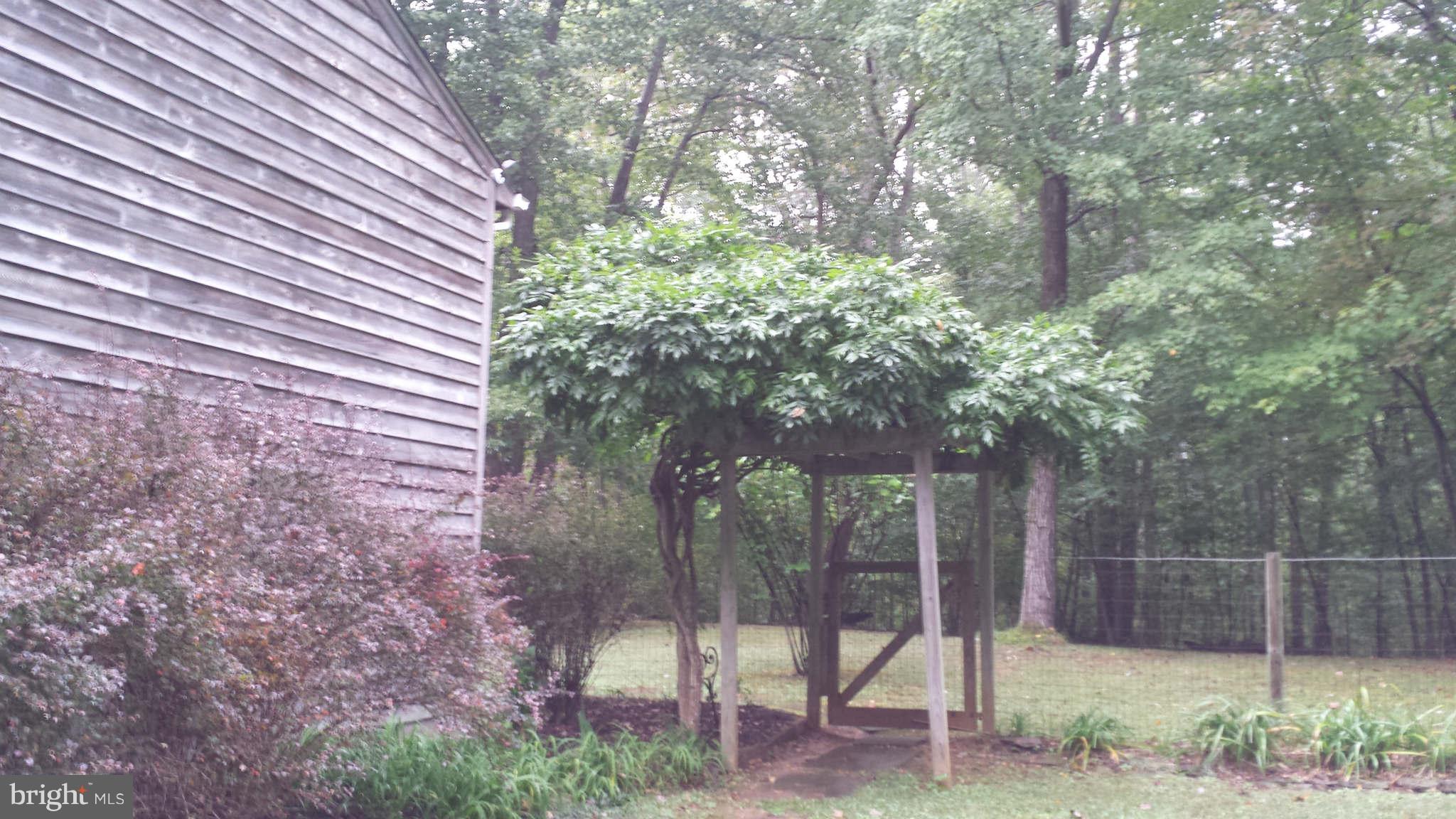 10021 Dutch Hollow Road Rixeyville, VA 22737 - Photo 20 of 30 Exterior (General)