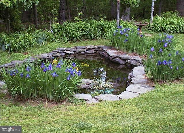 10021 Dutch Hollow Road Rixeyville, VA 22737 - Photo 25 of 30 View