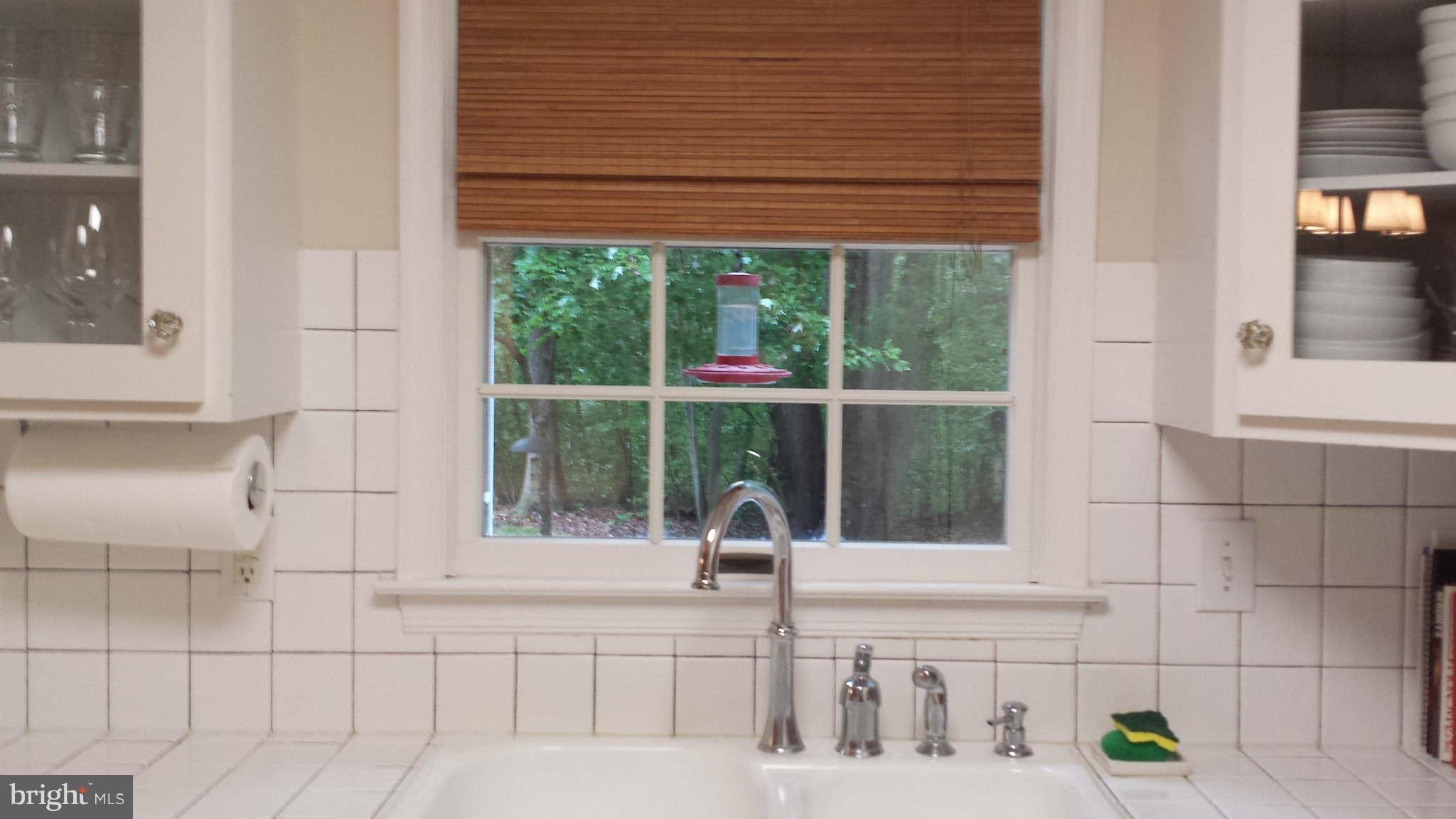 10021 Dutch Hollow Road Rixeyville, VA 22737 - Photo 6 of 30 Kitchen