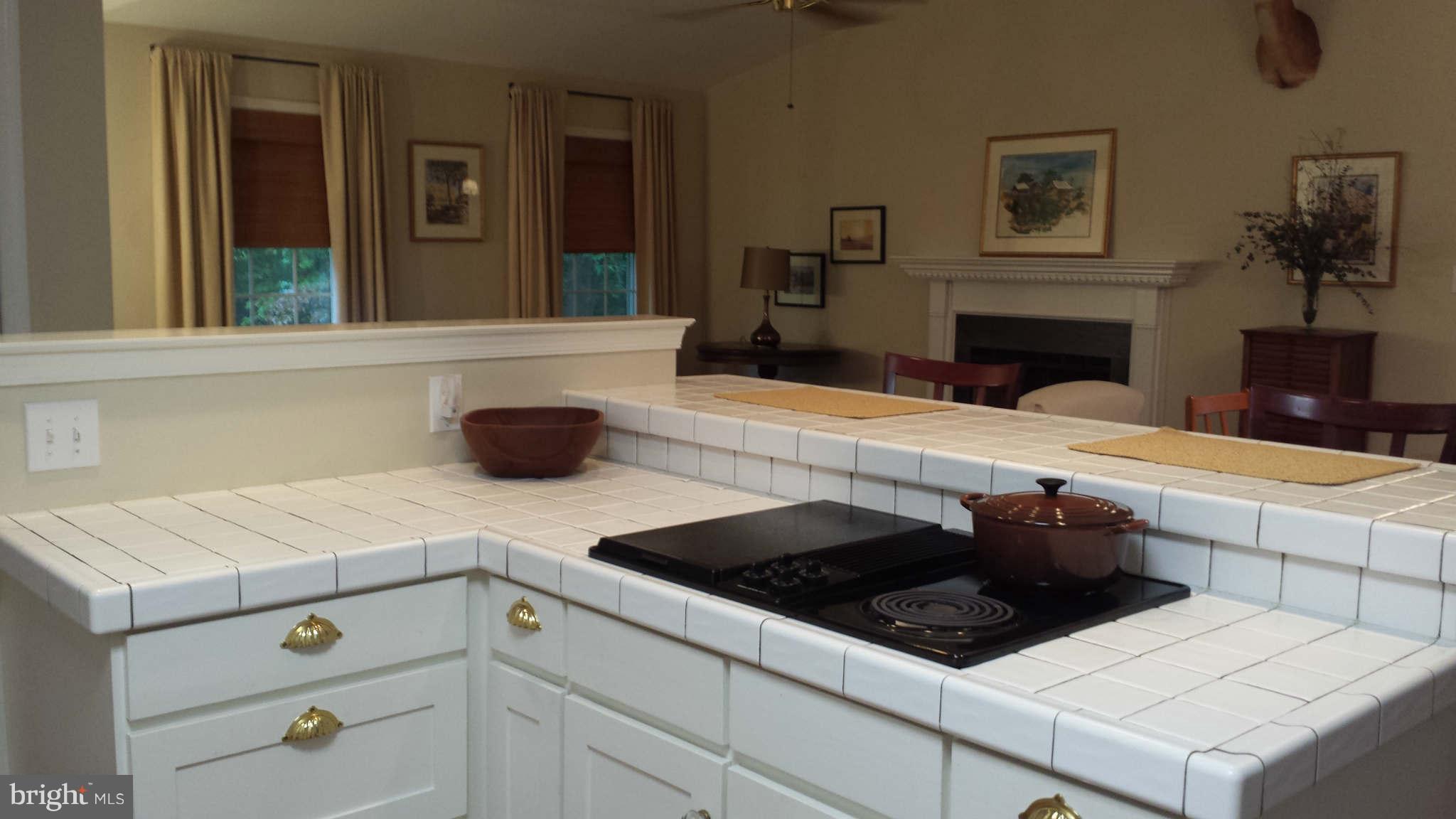 10021 Dutch Hollow Road Rixeyville, VA 22737 - Photo 7 of 30 Kitchen