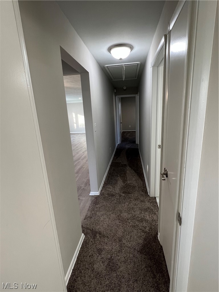19306 Libby Road Maple Heights, OH 44137 - Photo 13 of 33 Hall with dark carpet