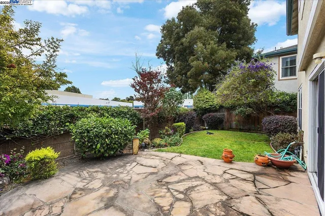 a view of a backyard with plants and garden