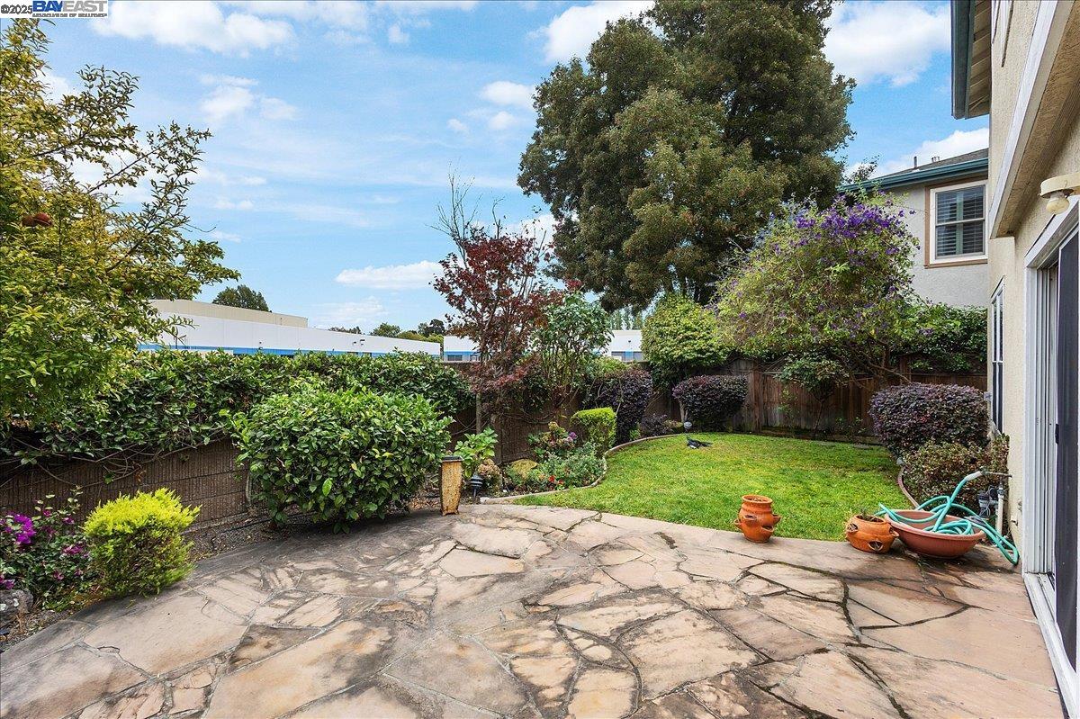 3 Cerruti Court Alameda, CA 94501 - Photo 22 of 22 a view of a backyard with plants and garden