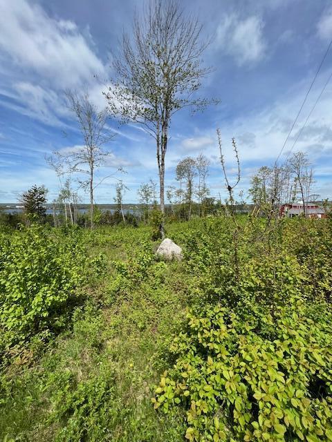 Lot #7 Cape Jellison Road Stockton Springs, ME 04981 - Photo 15 of 15 IMG_7019