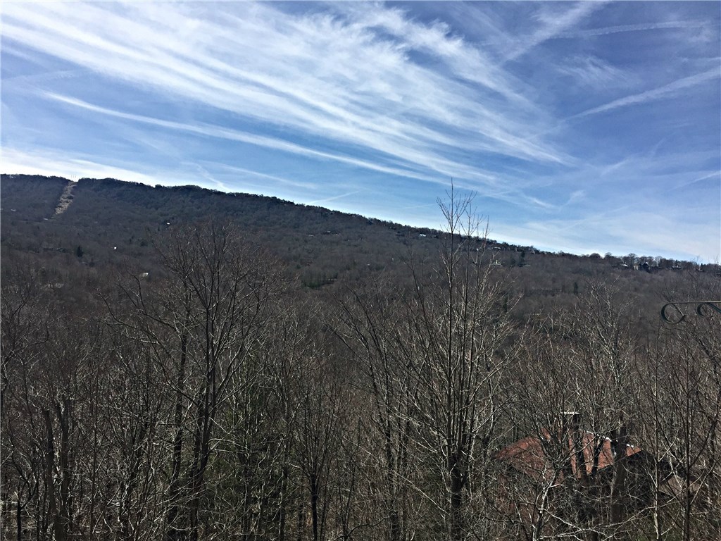 121 Lower Grouse Ridge Road Beech Mountain, NC 28604 - Photo 3 of 30 Gallery Image 3