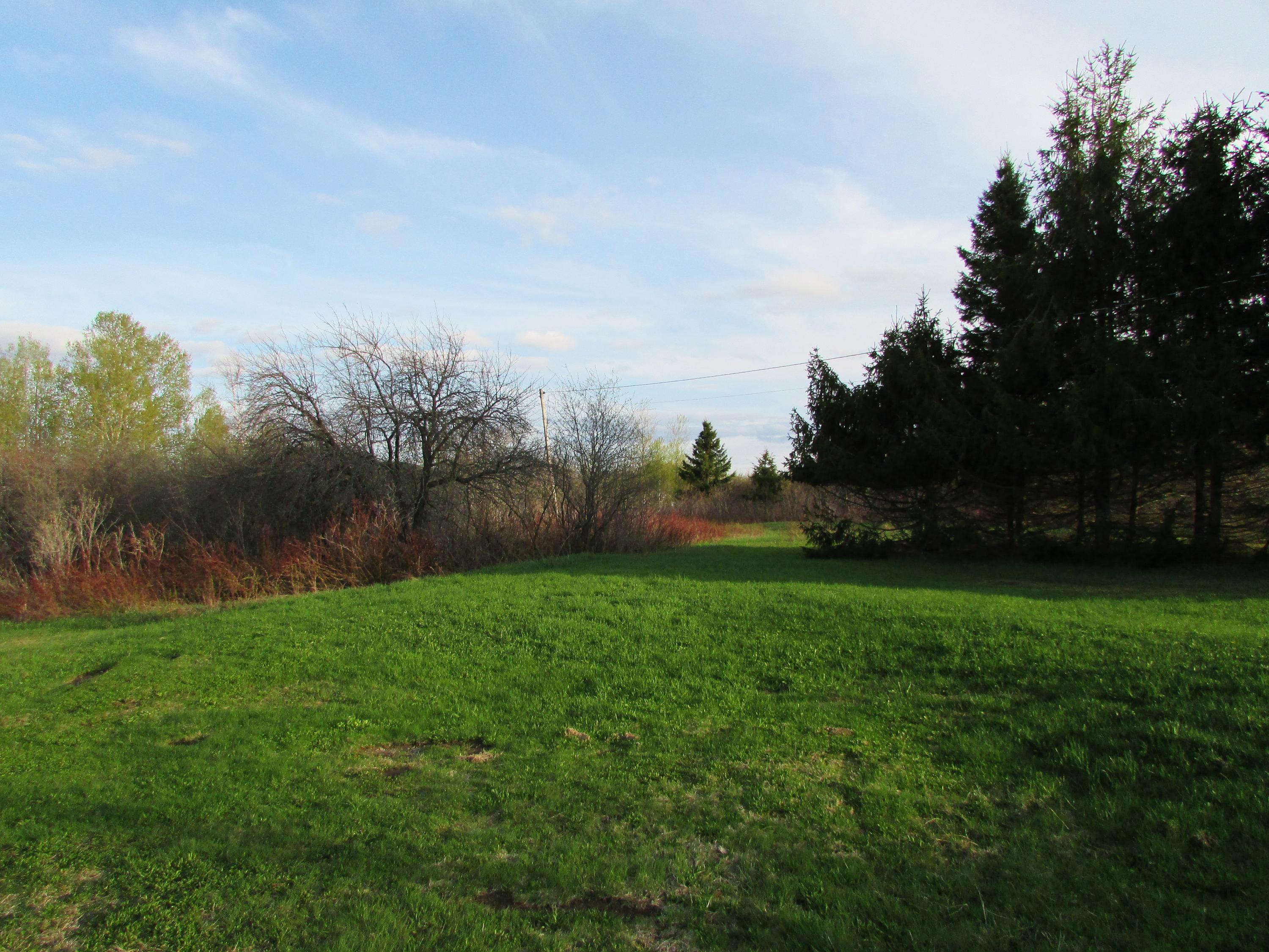 840 Frenchville Road Ashland, ME 04732 - Photo 9 of 28 NnochiriIMG_5453
