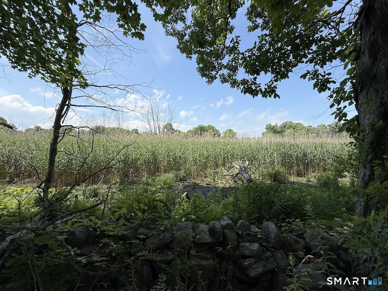 162 Lonetown Road Redding, CT 06896 - Photo 2 of 5