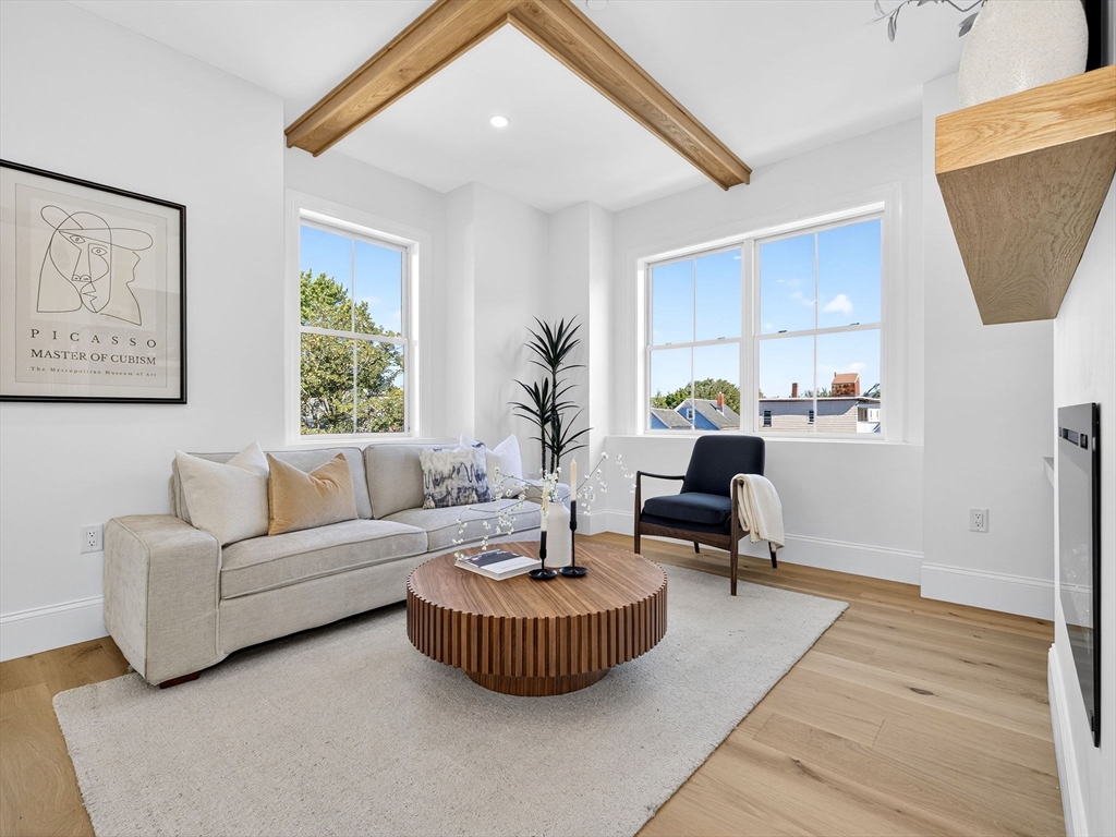 36 Springfield Street, Unit 3 Somerville, MA 02143 - Photo 4 of 30 Gallery Image 4