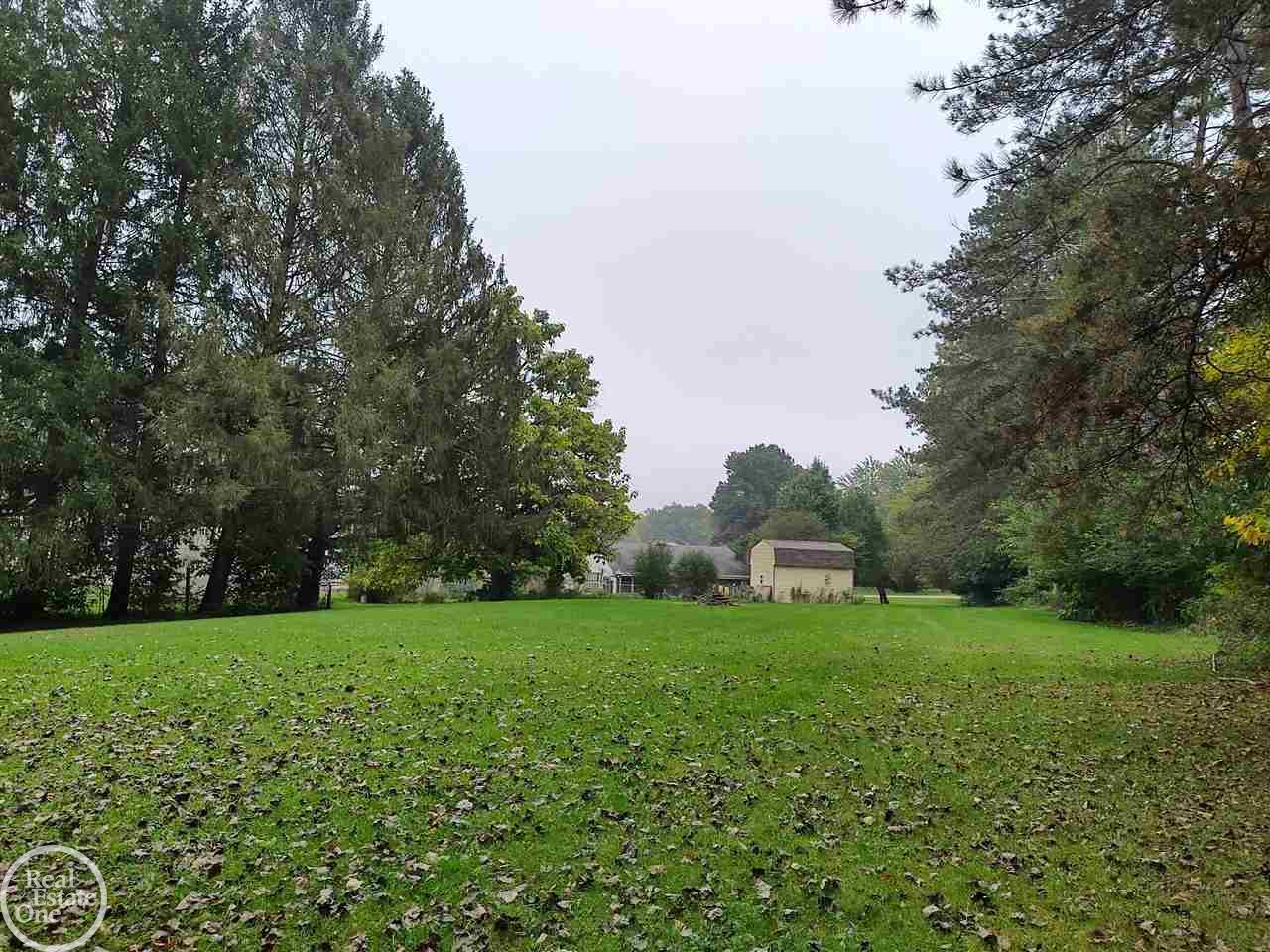 3785 Rives Eaton Road Rives Junction, MI 49277 - Photo 16 of 41 from woods clearing yard