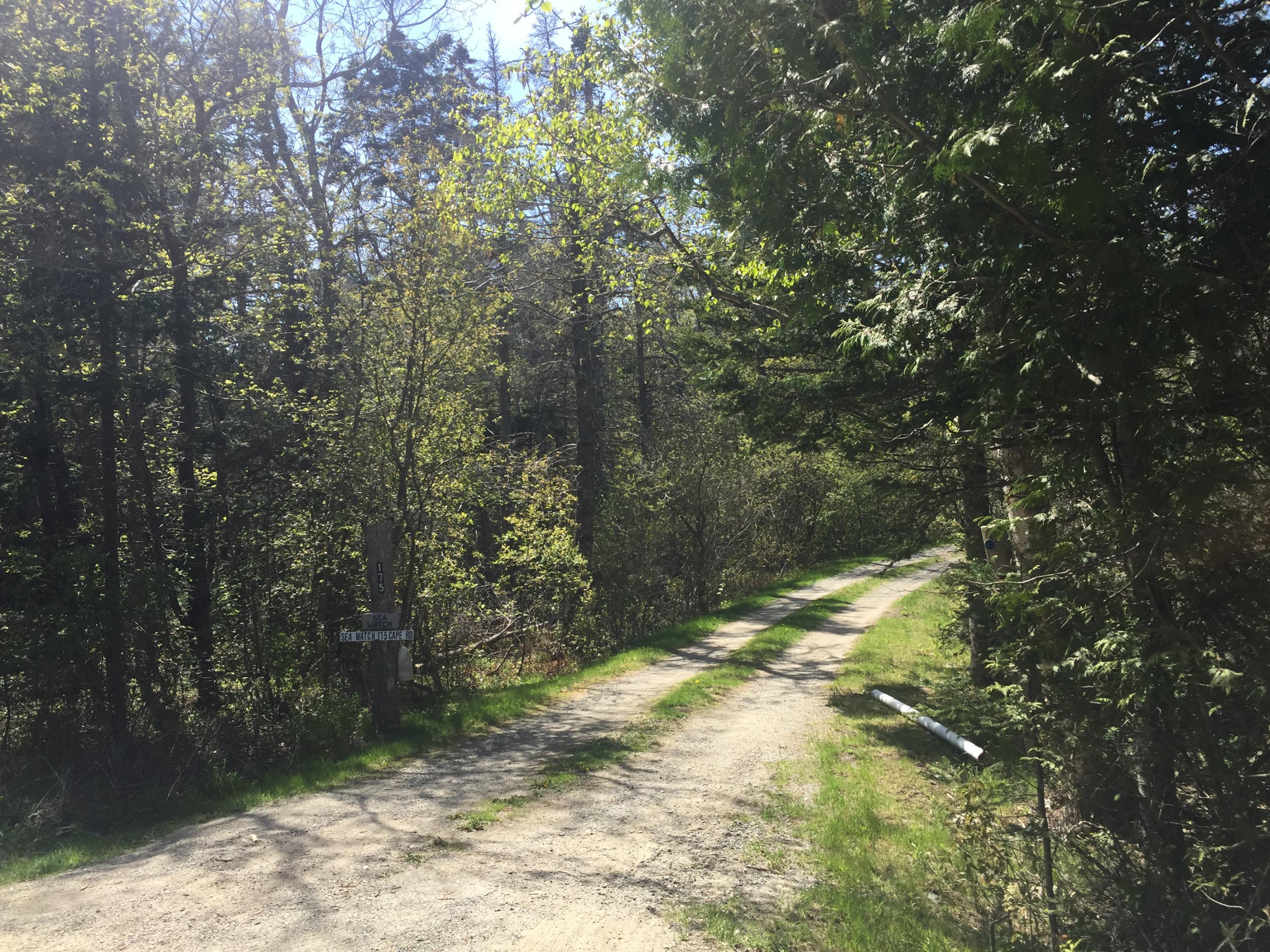 175 Cape Road Seal Cove, ME 04674 - Photo 3 of 3 IMG_2920