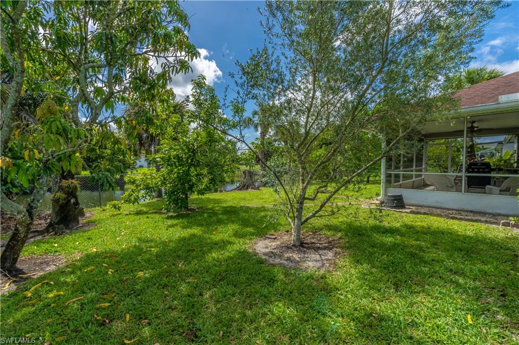 2100 55th Street Southwest Naples, FL 34116 - Photo 32 of 50 a view of a garden