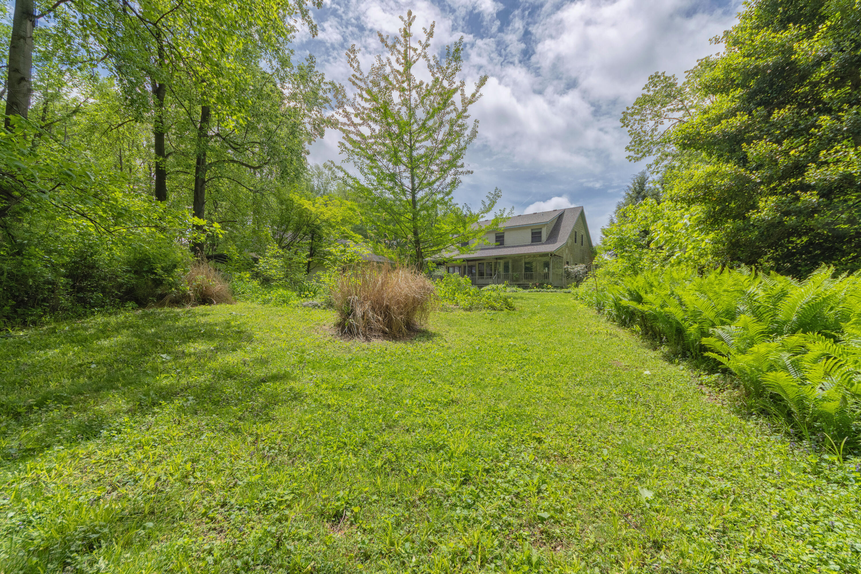 10109 Lauer Road Baroda, MI 49101 - Photo 19 of 19 VIEW FROM BACK SIDE