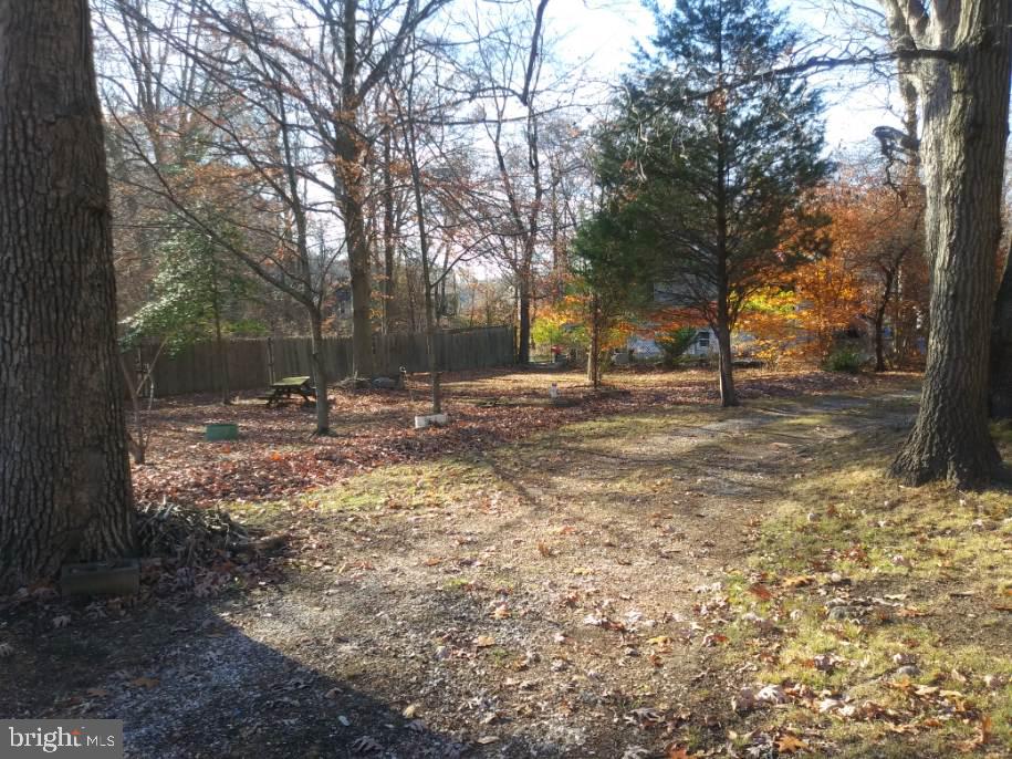 11504 Laurel Bowie Road Laurel, MD 20708 - Photo 5 of 13