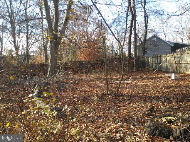 11504 Laurel Bowie Road Laurel, MD 20708 - Photo 7 of 13 PROPERTY LINE BEHIND THE FENCED AREA.