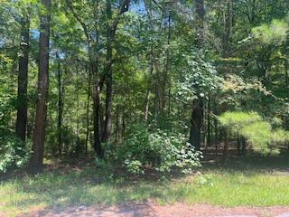 Bl33-l29 Bordeaux Place McCormick, SC 29835 - Photo 2 of 4 IMG_5553