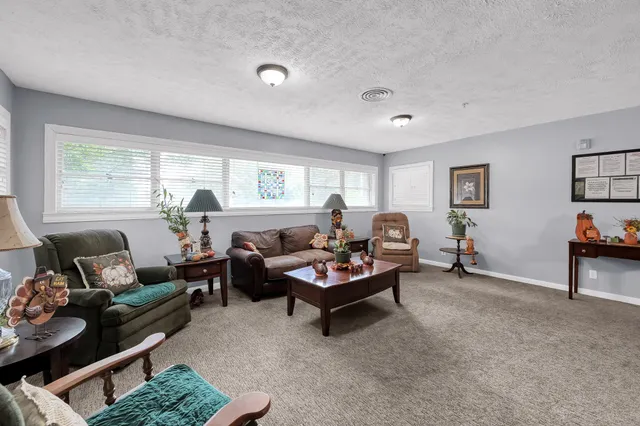 a living room with furniture rug and window