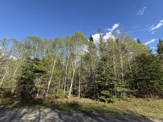 Lot 13 Pidgeon Point Road Whiting, ME 04691 - Photo 7 of 25 IMG_9967 (1)