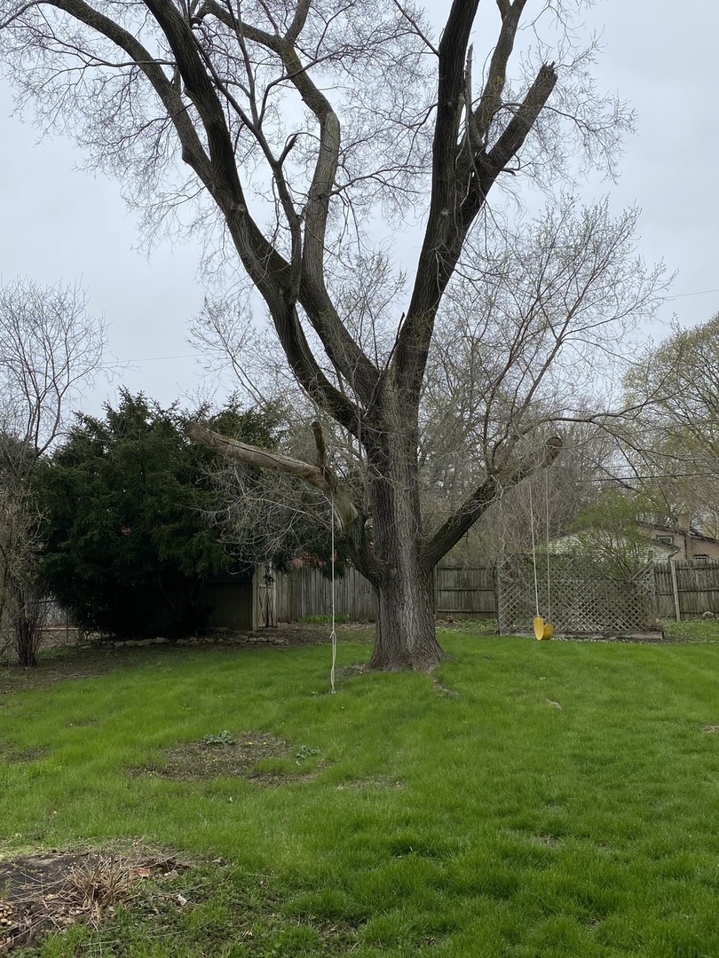 329 Douglas Road Batavia, IL 60510 - Photo 18 of 23 a backyard of a house with lots of green space