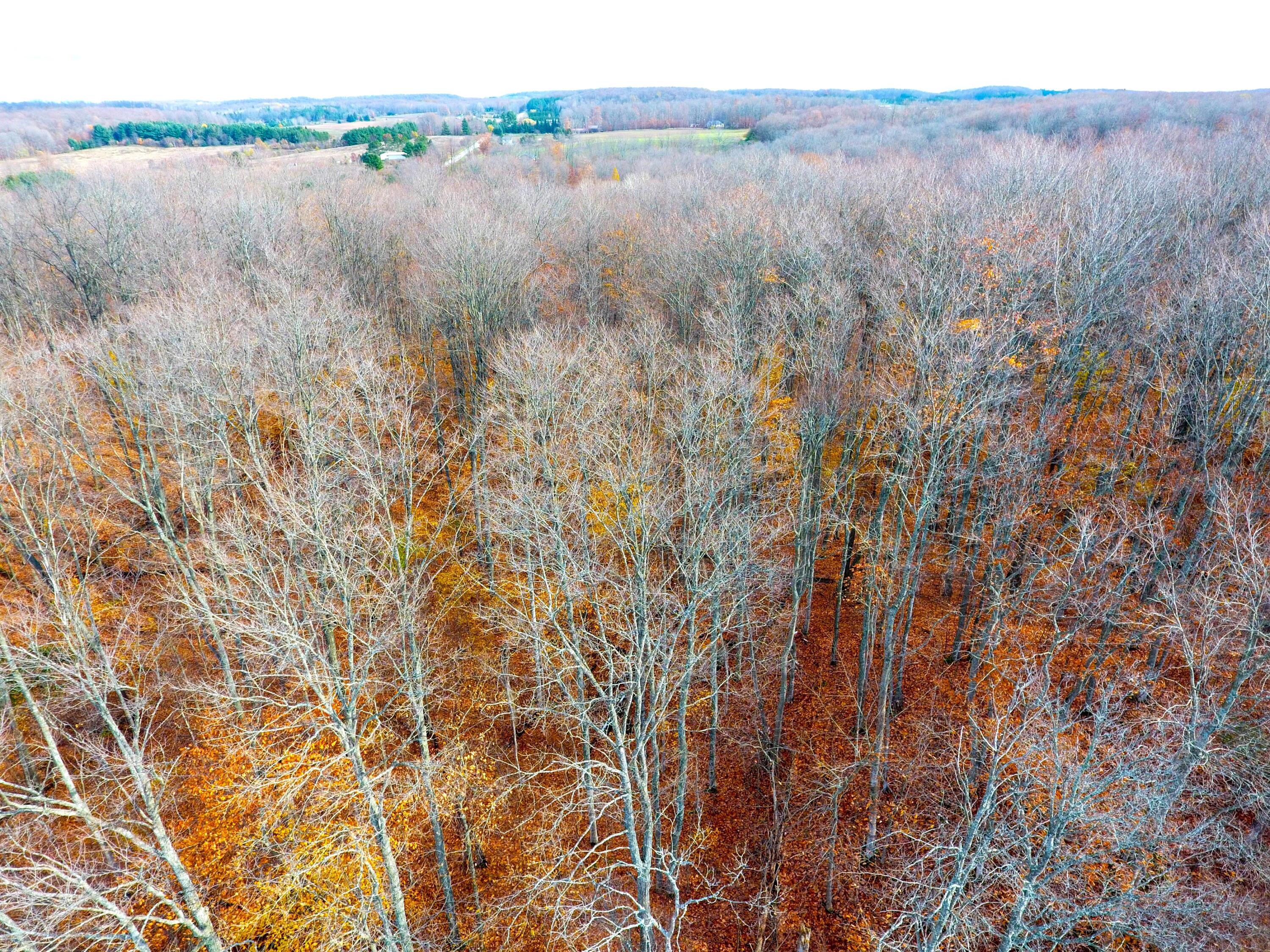 Northwest Garber And Canby Road Levering, MI 49755 - Photo 11 of 17 Gallery Image 11